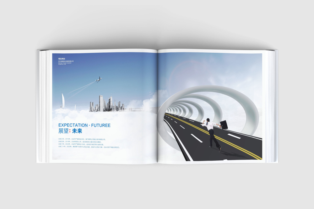 石鼓区画册设计